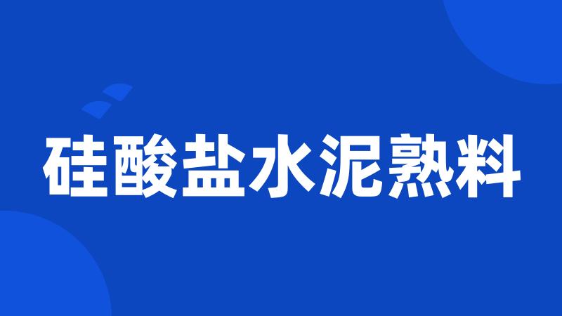 硅酸盐水泥熟料