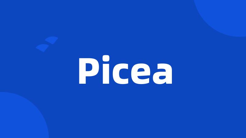 Picea