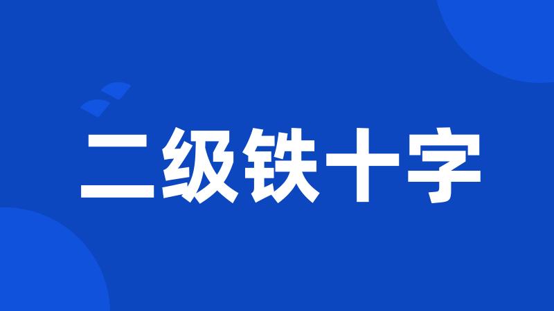 二级铁十字