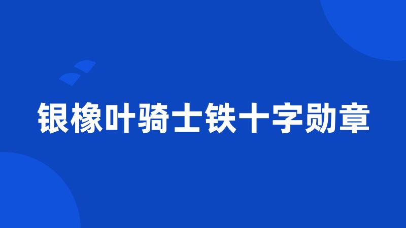 银橡叶骑士铁十字勋章