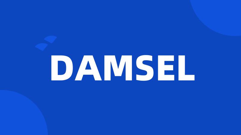 DAMSEL