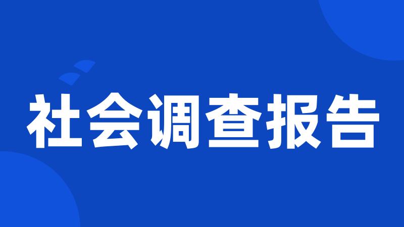 社会调查报告