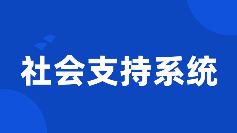 社会支持系统