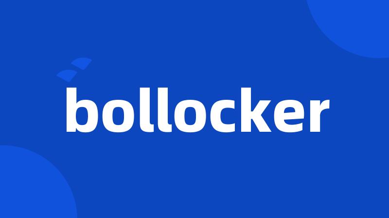 bollocker