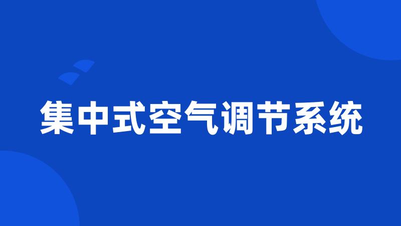 集中式空气调节系统