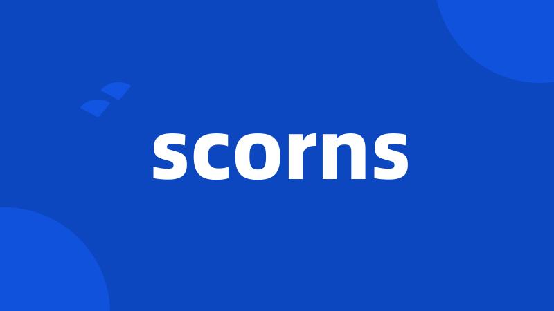 scorns