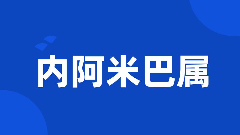 内阿米巴属