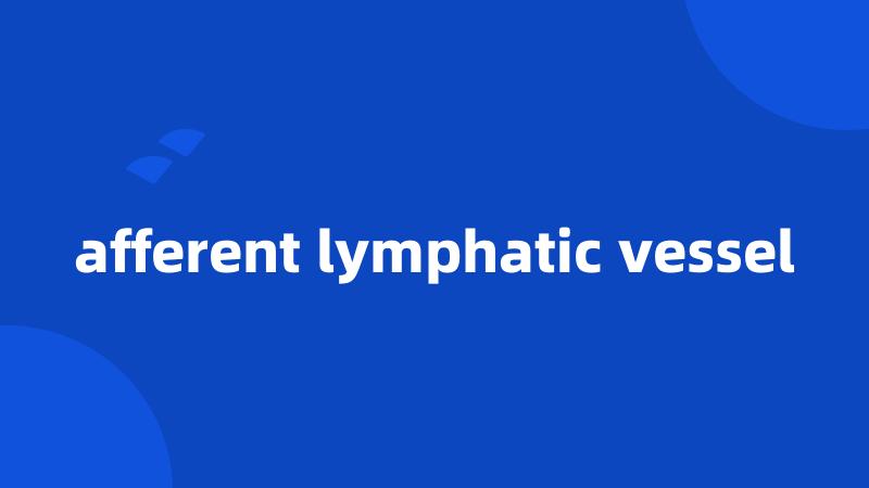 afferent lymphatic vessel