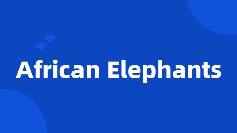 African Elephants