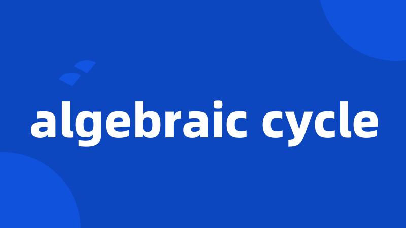 algebraic cycle