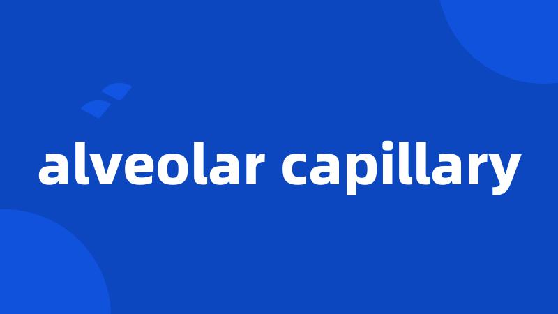 alveolar capillary