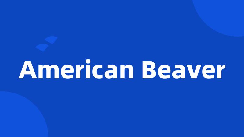 American Beaver