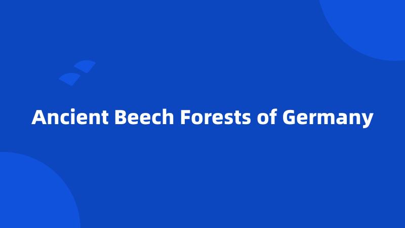 Ancient Beech Forests of Germany