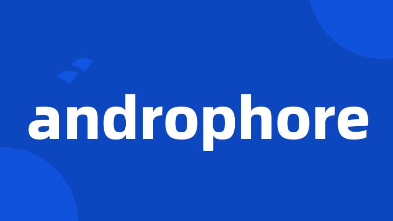 androphore