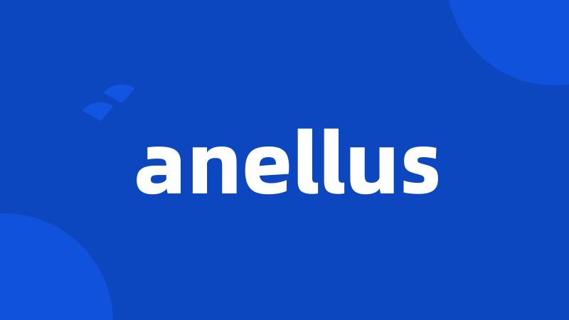 anellus