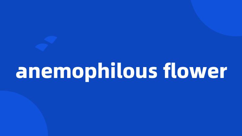 anemophilous flower