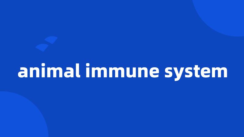 animal immune system