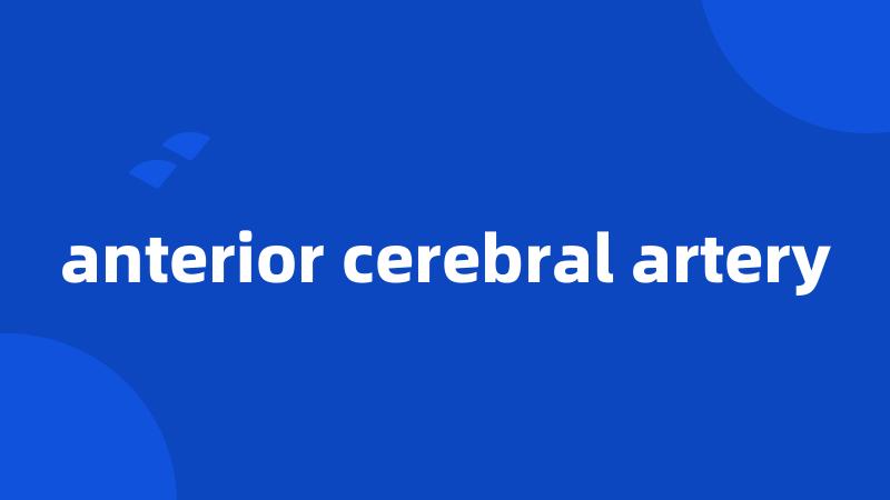 anterior cerebral artery