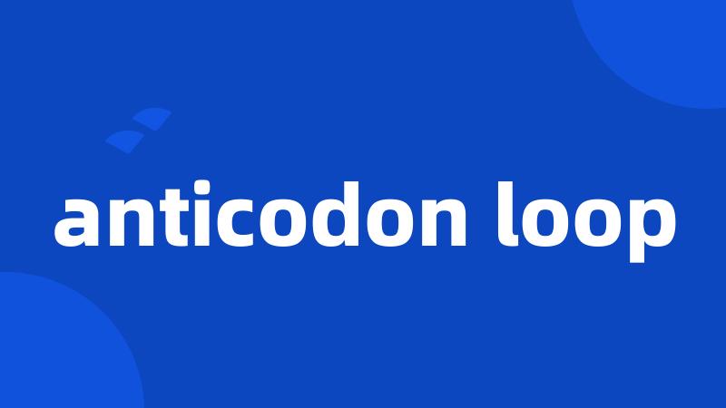 anticodon loop