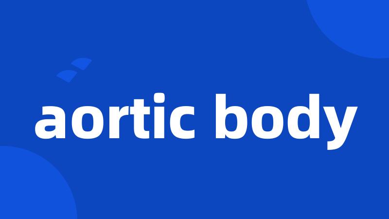 aortic body