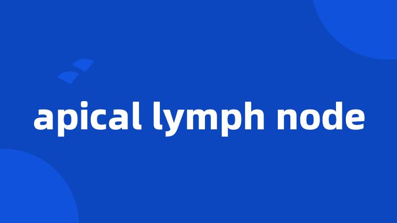 apical lymph node