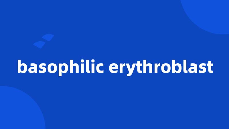 basophilic erythroblast