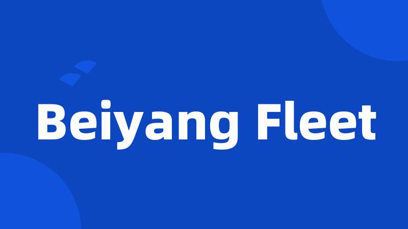 Beiyang Fleet