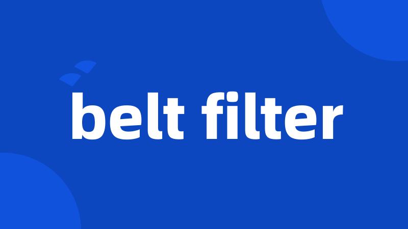 belt filter