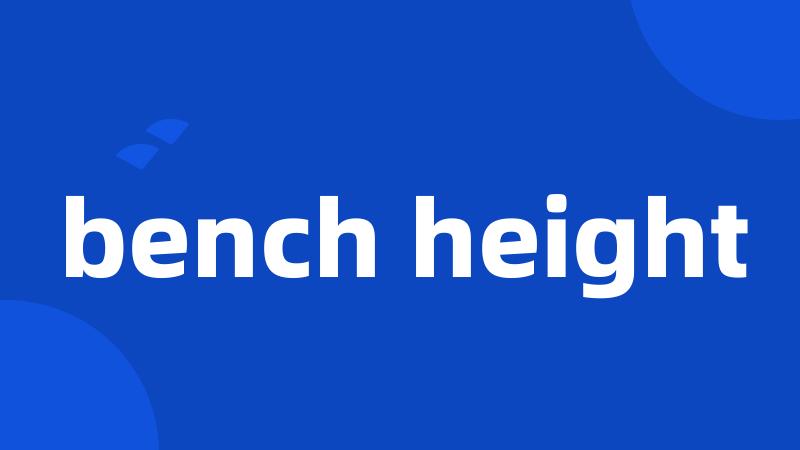 bench height