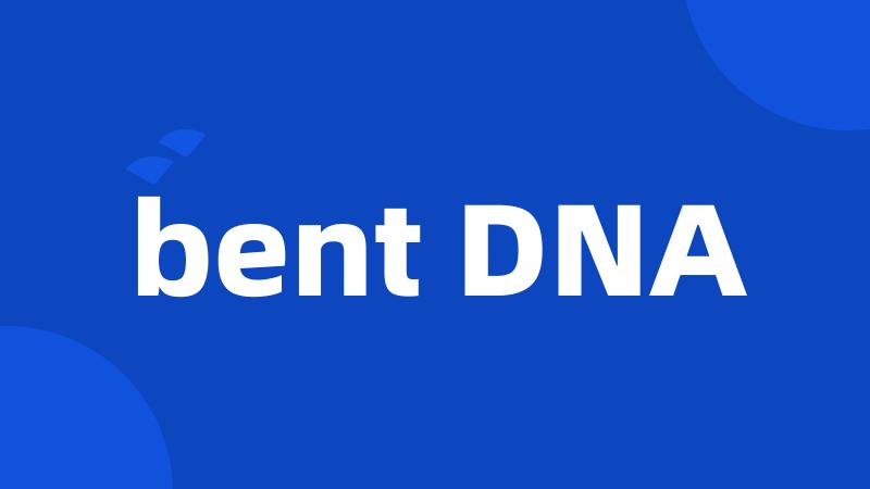 bent DNA