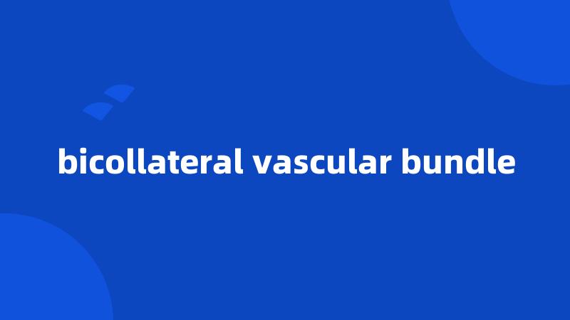 bicollateral vascular bundle