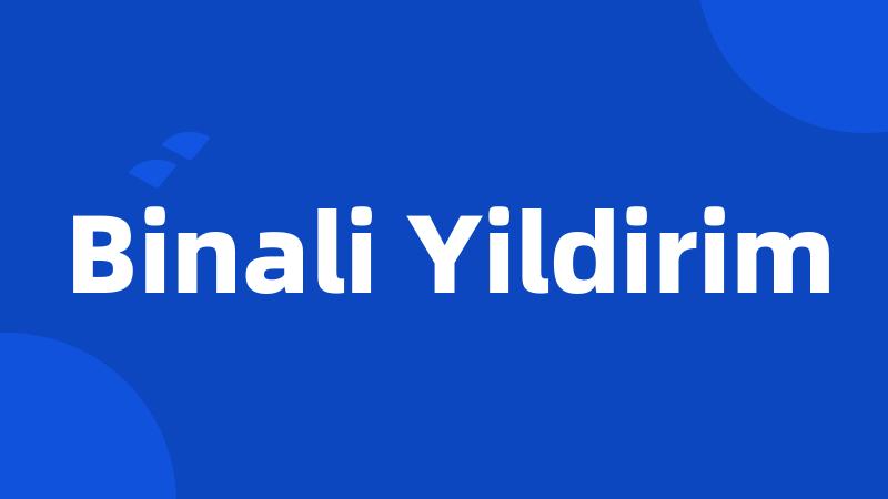 Binali Yildirim