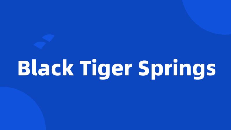 Black Tiger Springs