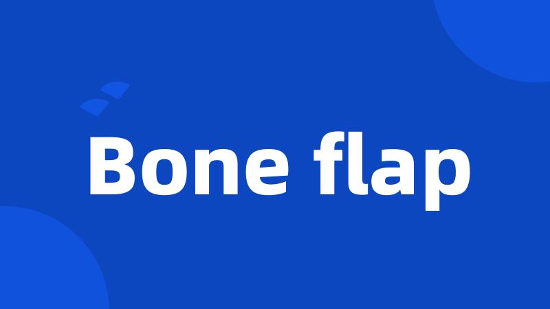 Bone flap