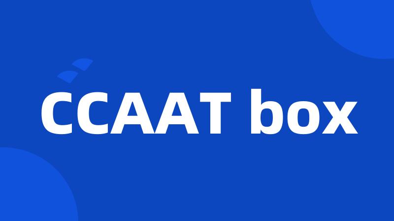 CCAAT box