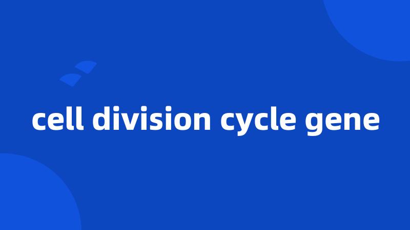 cell division cycle gene