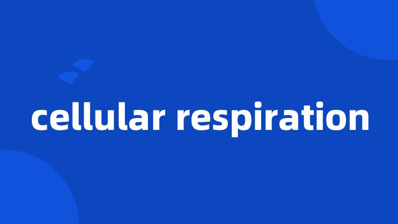 cellular respiration