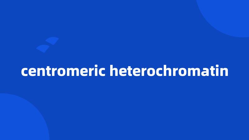 centromeric heterochromatin