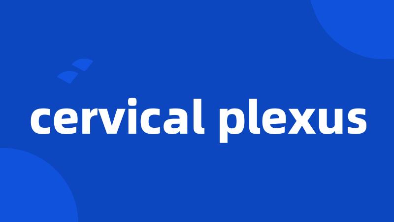 cervical plexus