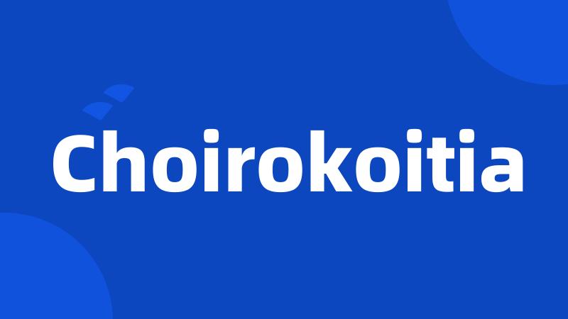 Choirokoitia