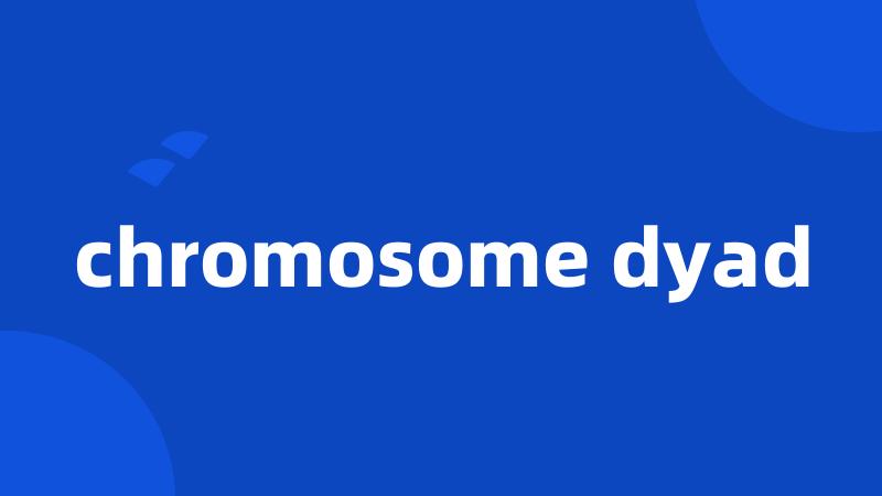 chromosome dyad