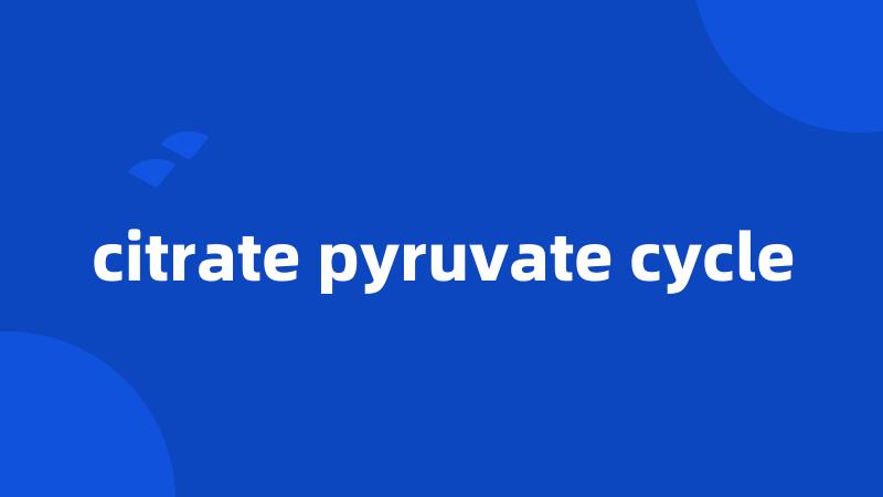 citrate pyruvate cycle