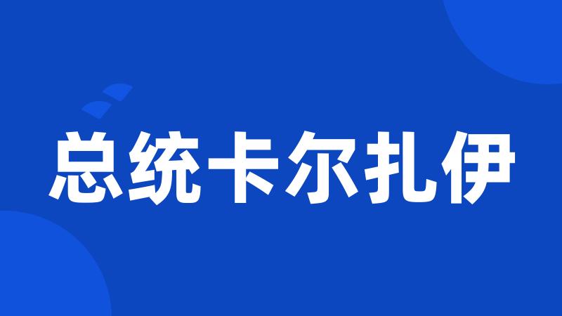 总统卡尔扎伊