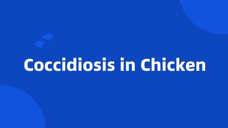 Coccidiosis in Chicken