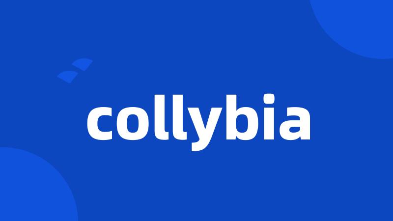 collybia