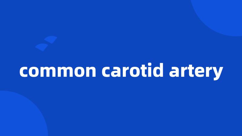 common carotid artery