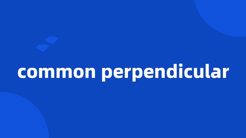 common perpendicular