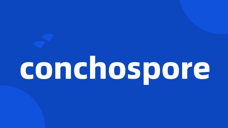 conchospore