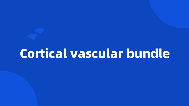 Cortical vascular bundle