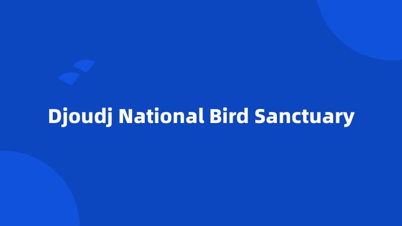 Djoudj National Bird Sanctuary